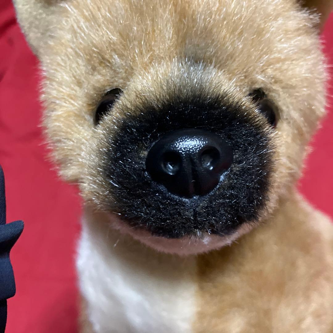 ぬいぐるみ犬　しば犬　柴犬　子犬　リアルぬいぐるみ犬　四季オリジナル　SK