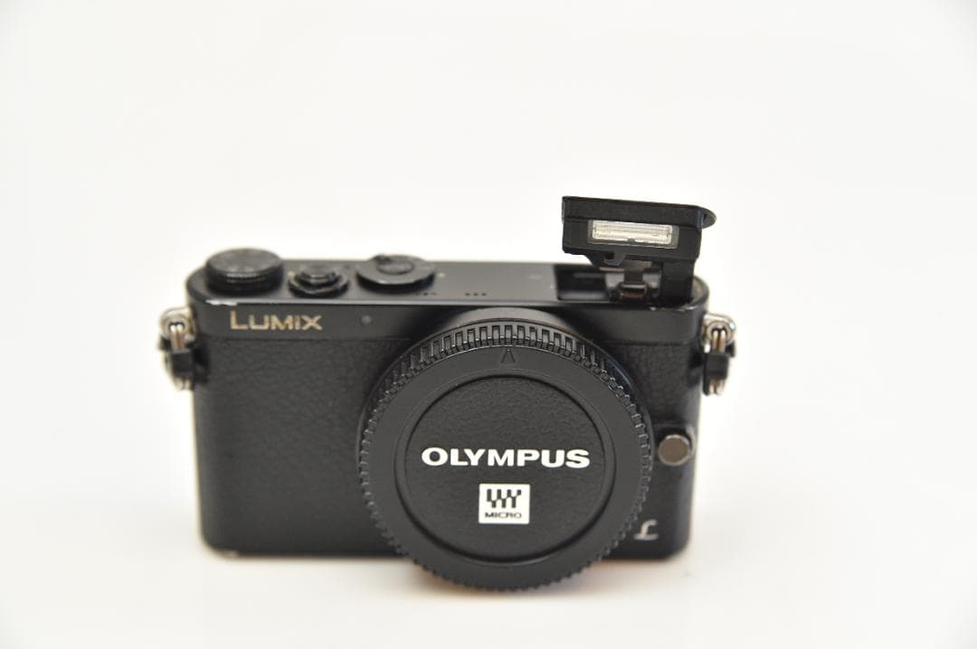 デジタルカメラ Panasonic LUMIX GM1