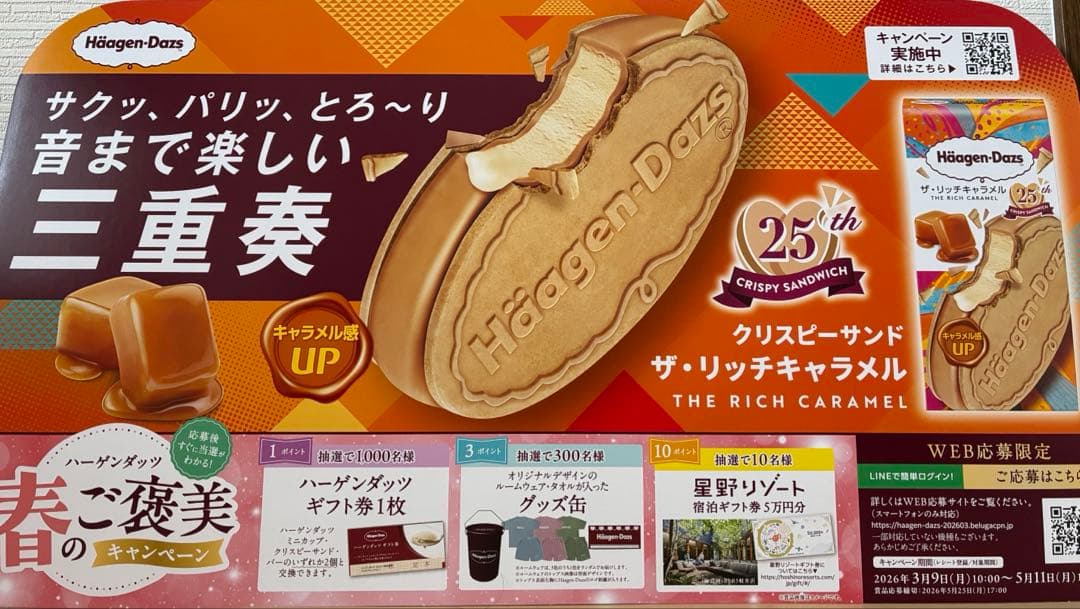TWICE SANAサナさん 特大販促ボード ハーゲンダッツ