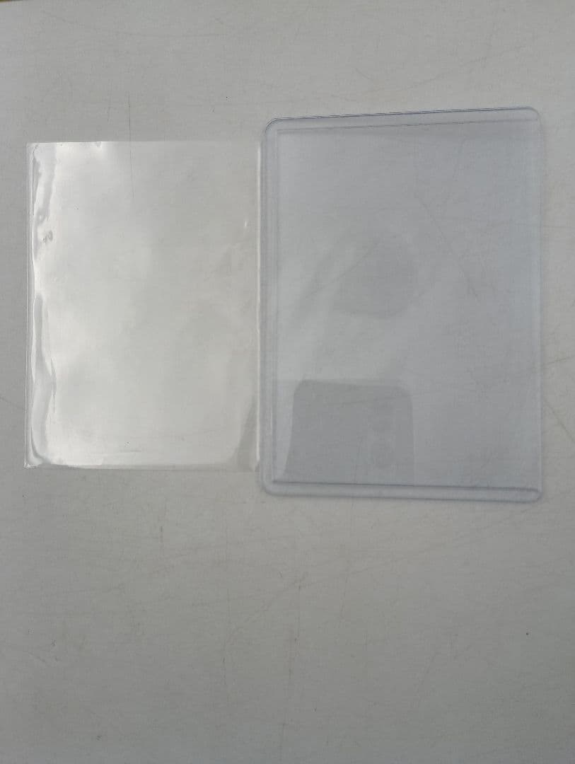 ナタネの活気 SRタイムゲイザー S10D 078/067 ポケモンカード 2枚