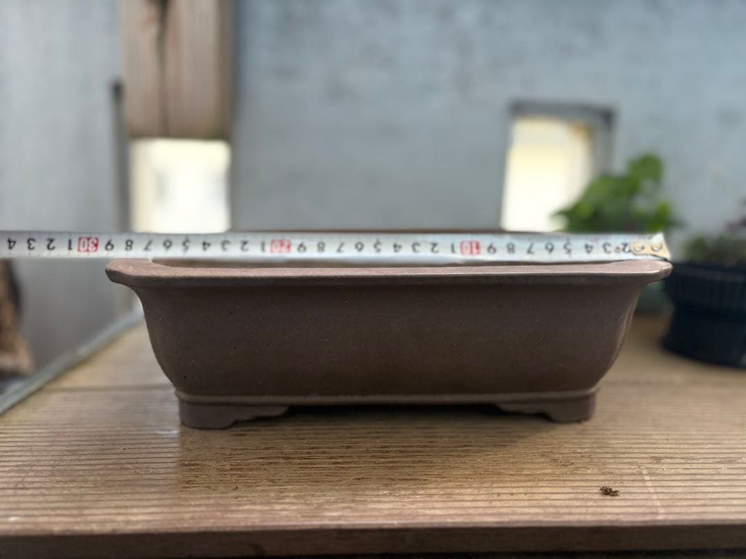 中野行山　鉢　名匠物故作家