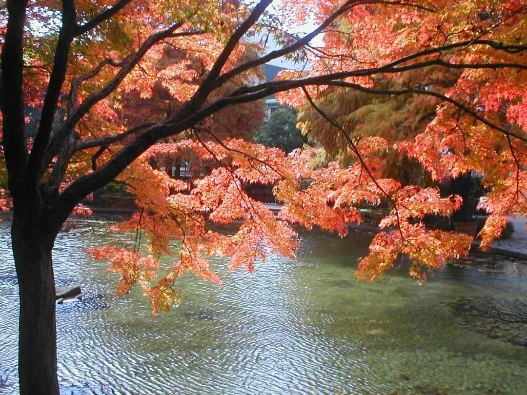 OLYMPUS　CAMEDIA 　C-100