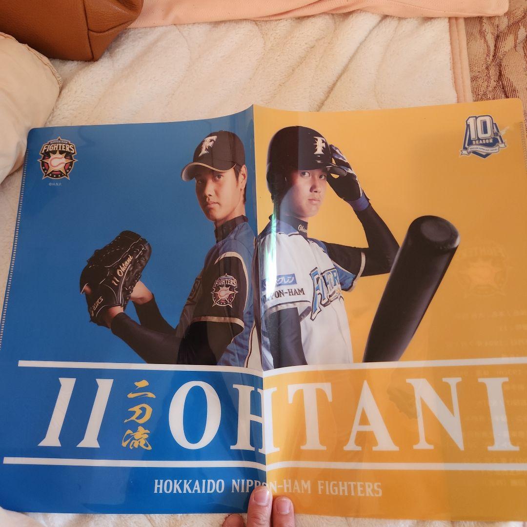 大谷翔平　日ハムプロ初登板試合の観戦証明書とクリアファイル