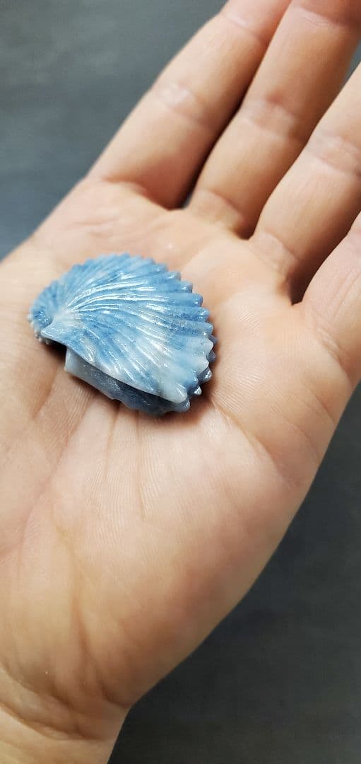 糸魚川翡翠 入りコン沢 アオイガイ