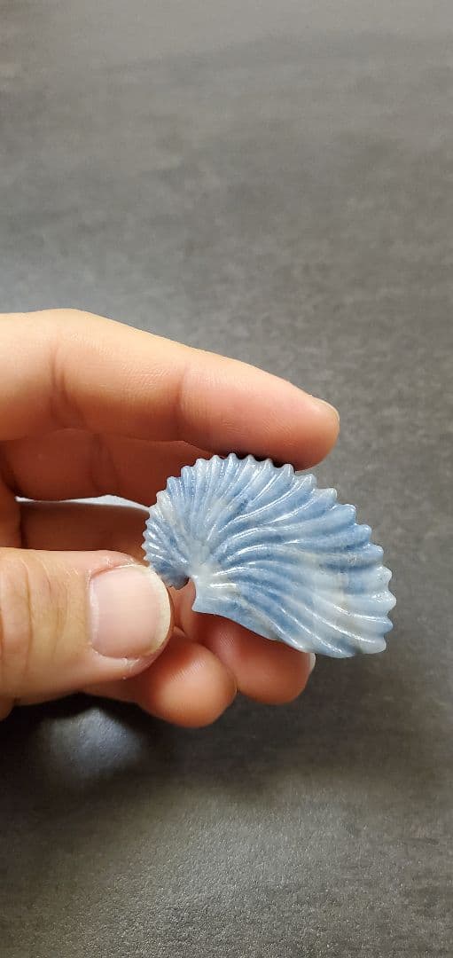 糸魚川翡翠 入りコン沢 アオイガイ