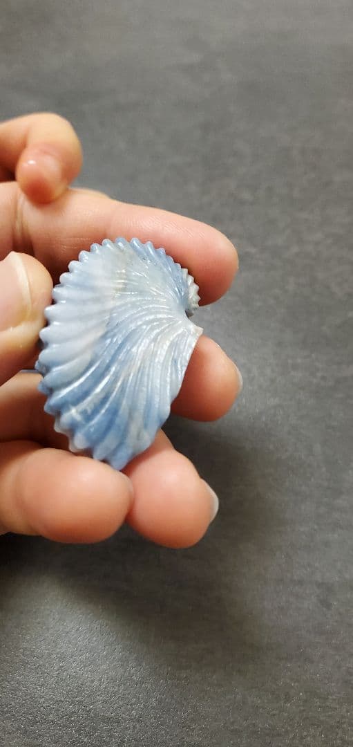 糸魚川翡翠 入りコン沢 アオイガイ