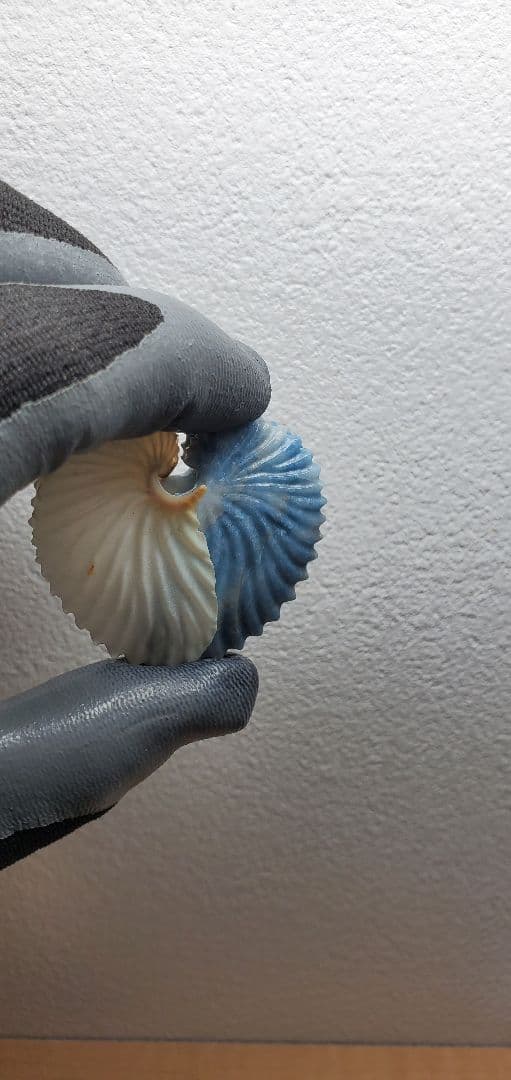 糸魚川翡翠 入りコン沢 アオイガイ