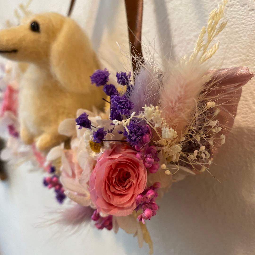 クレッセントリース&ダックスちゃん