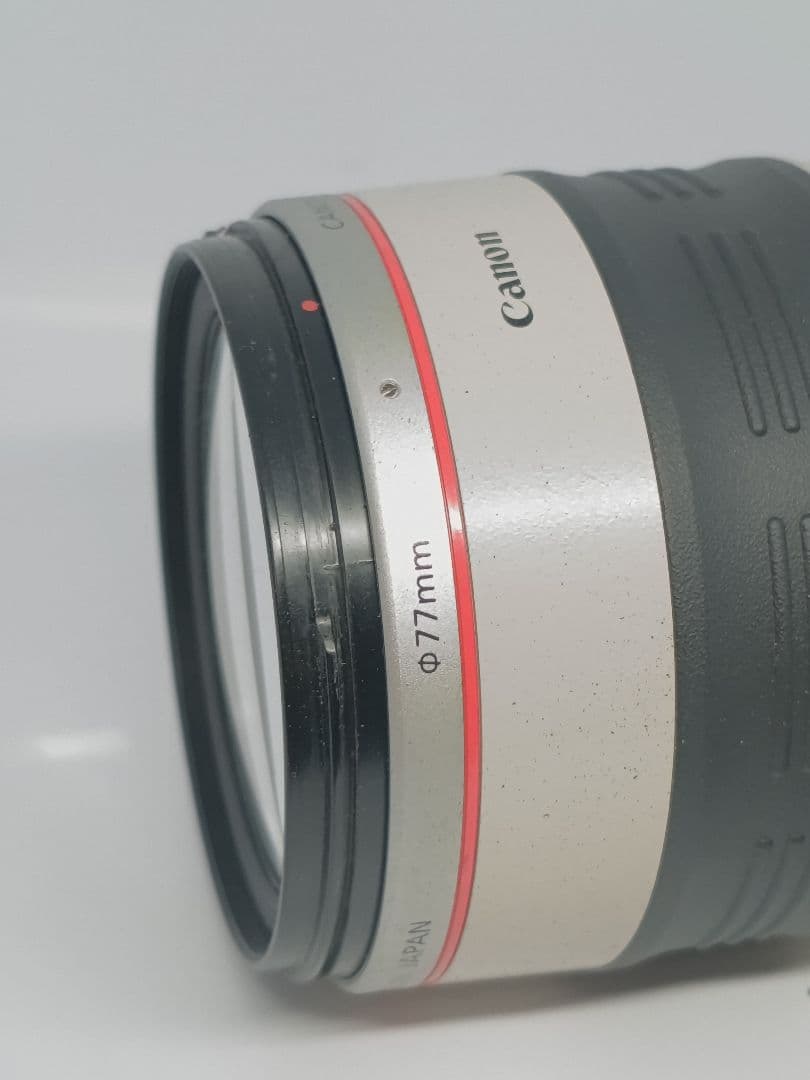 Canon EF28-300mm F3.5-5.6L IS USM Lレンズ