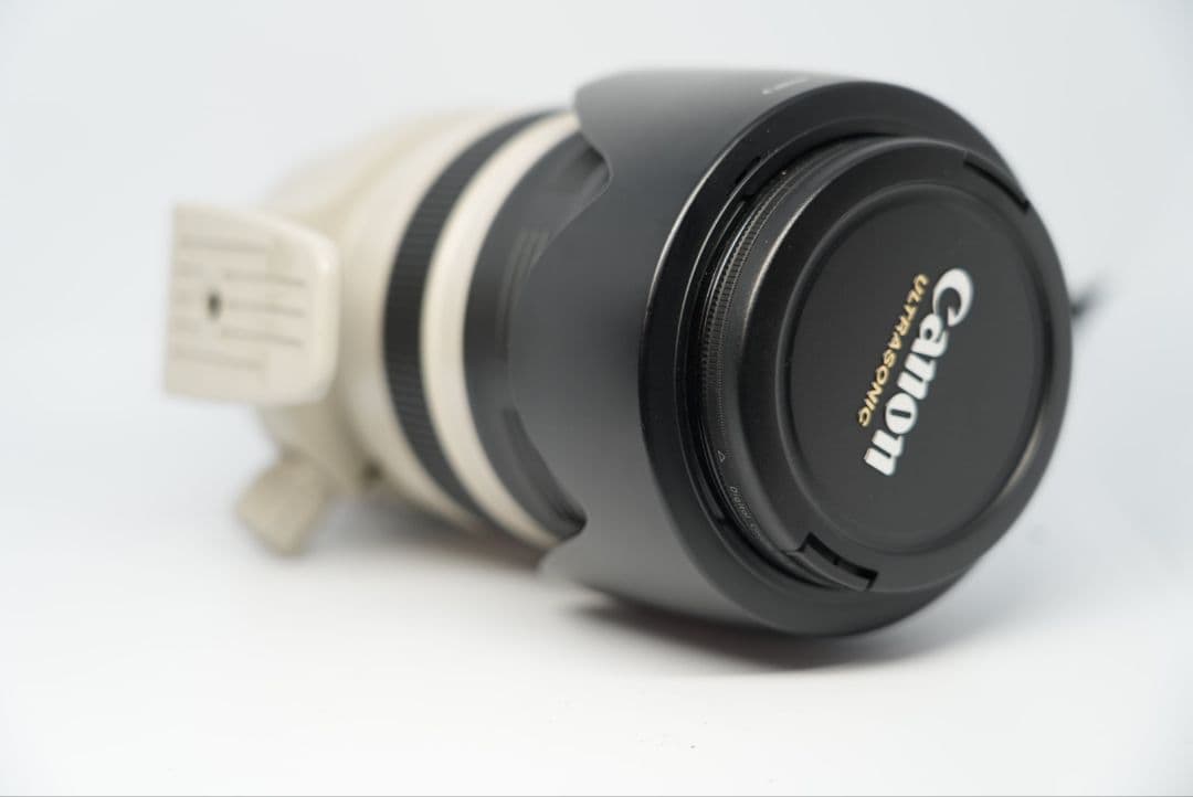 Canon EF28-300mm F3.5-5.6L IS USM Lレンズ