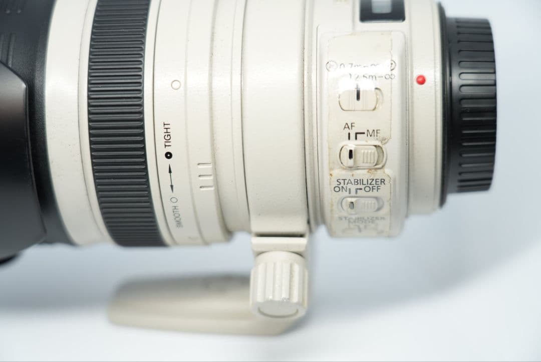 Canon EF28-300mm F3.5-5.6L IS USM Lレンズ