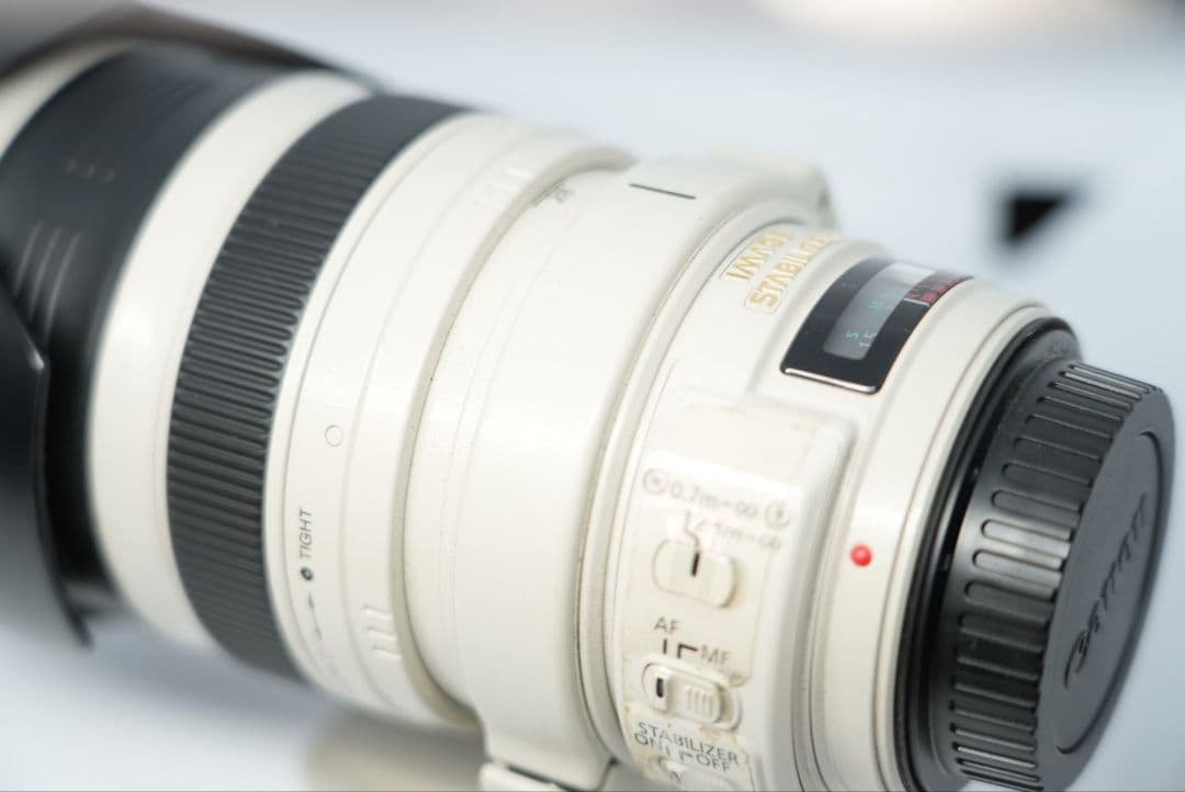Canon EF28-300mm F3.5-5.6L IS USM Lレンズ