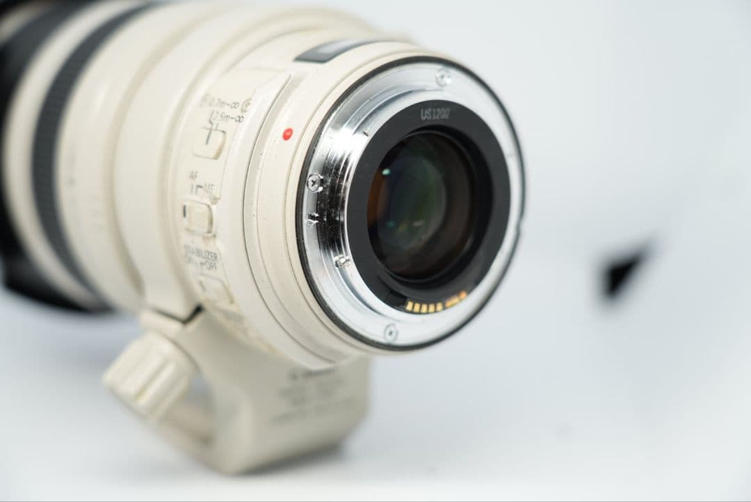 Canon EF28-300mm F3.5-5.6L IS USM Lレンズ