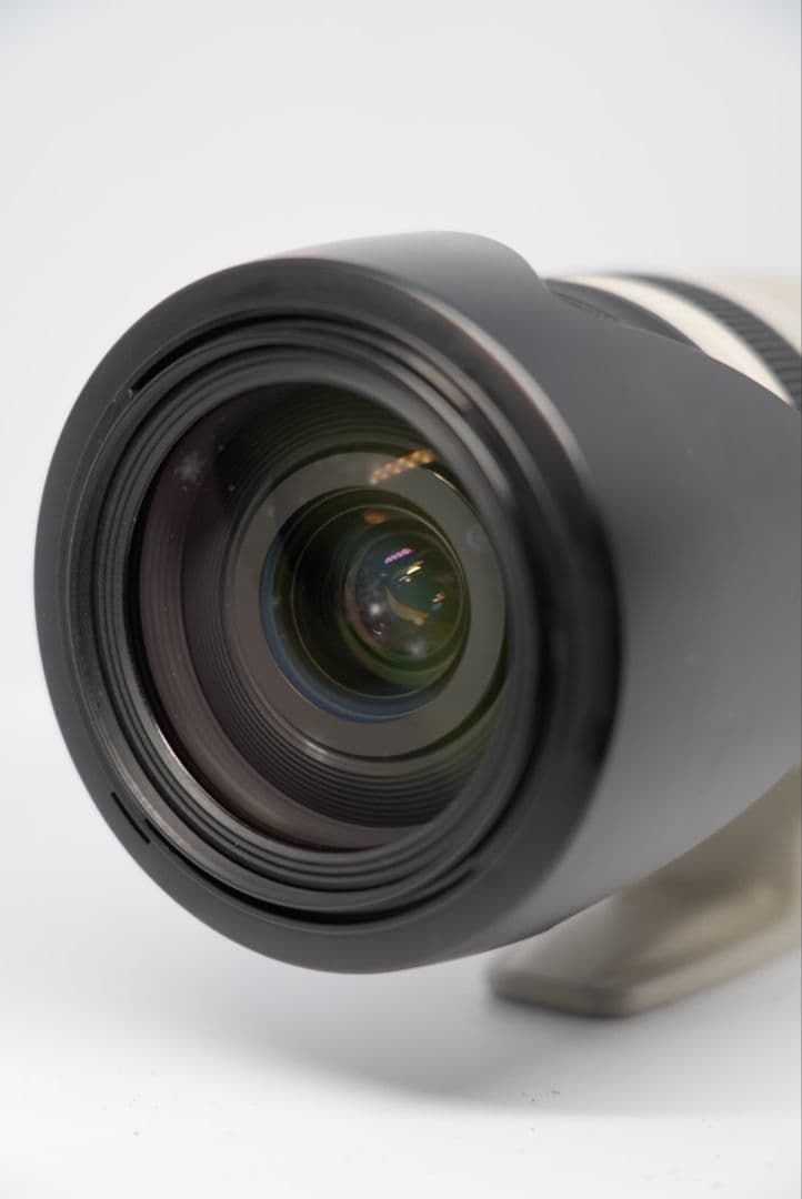 Canon EF28-300mm F3.5-5.6L IS USM Lレンズ