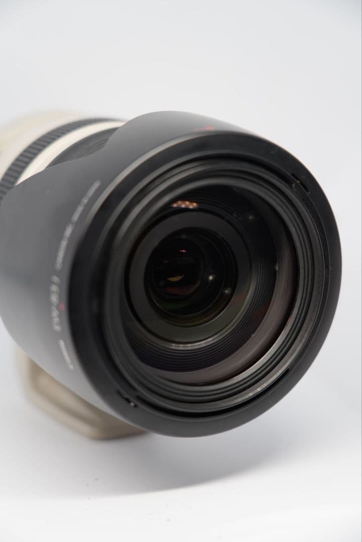 Canon EF28-300mm F3.5-5.6L IS USM Lレンズ