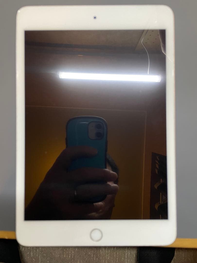 iPad本体 iPad mini5 Cellular 87%