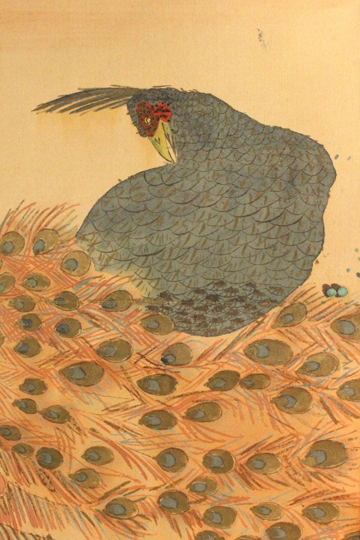 No4514 掛軸　山元春挙　旭双孔雀図　彩色絹本　日本画　花鳥画　送料無料