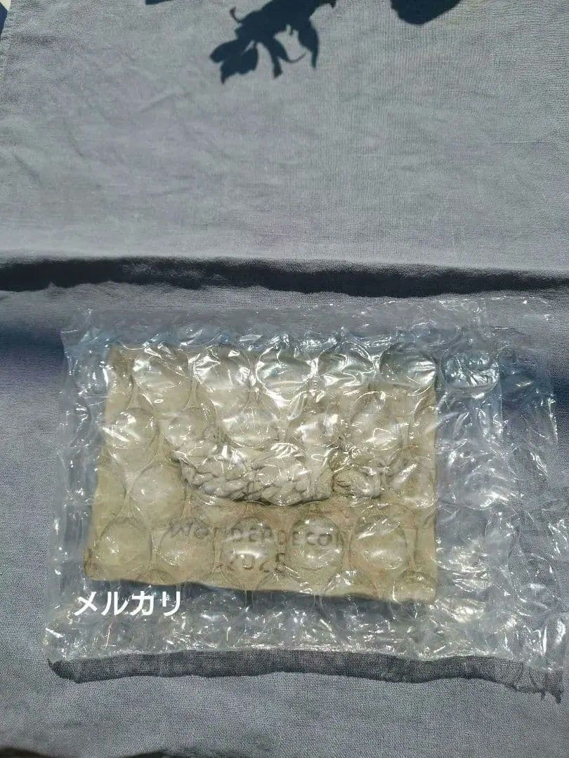 ワンダーデコール イヤープレート　2025