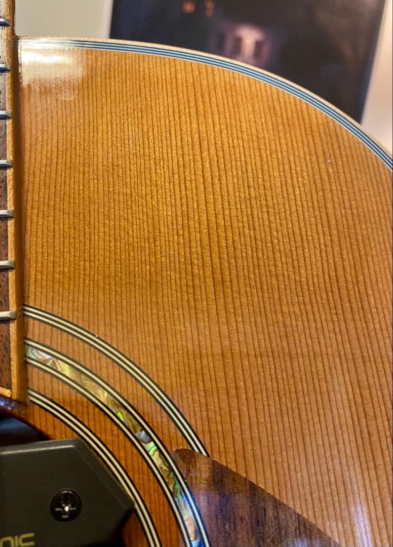 Greg Bennett SJプロト？ エレアコ仕様 トップ単板