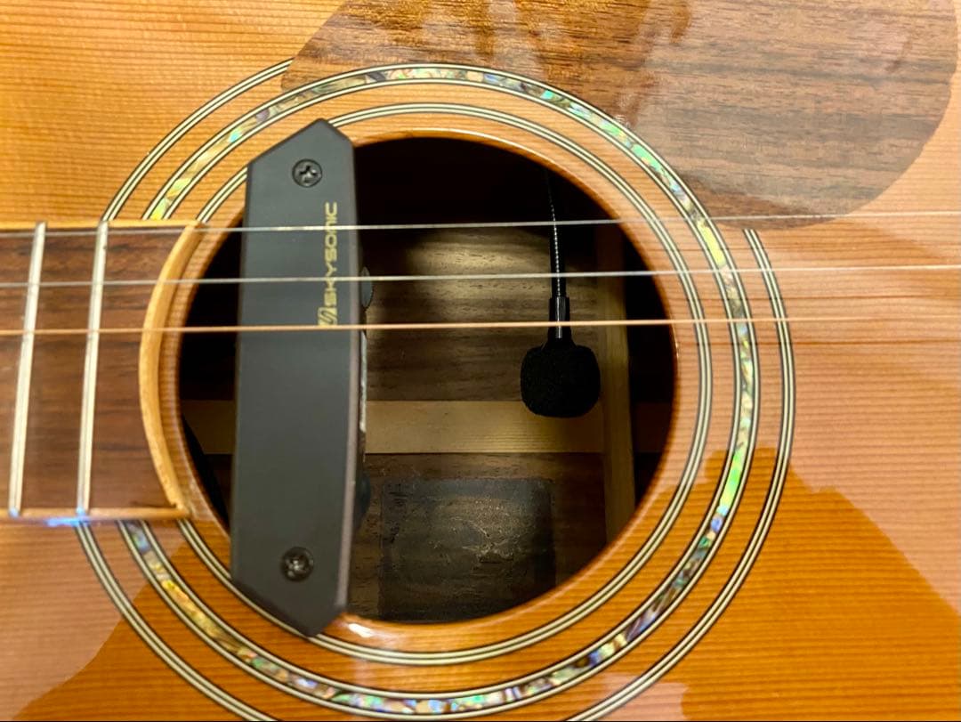 Greg Bennett SJプロト？ エレアコ仕様 トップ単板