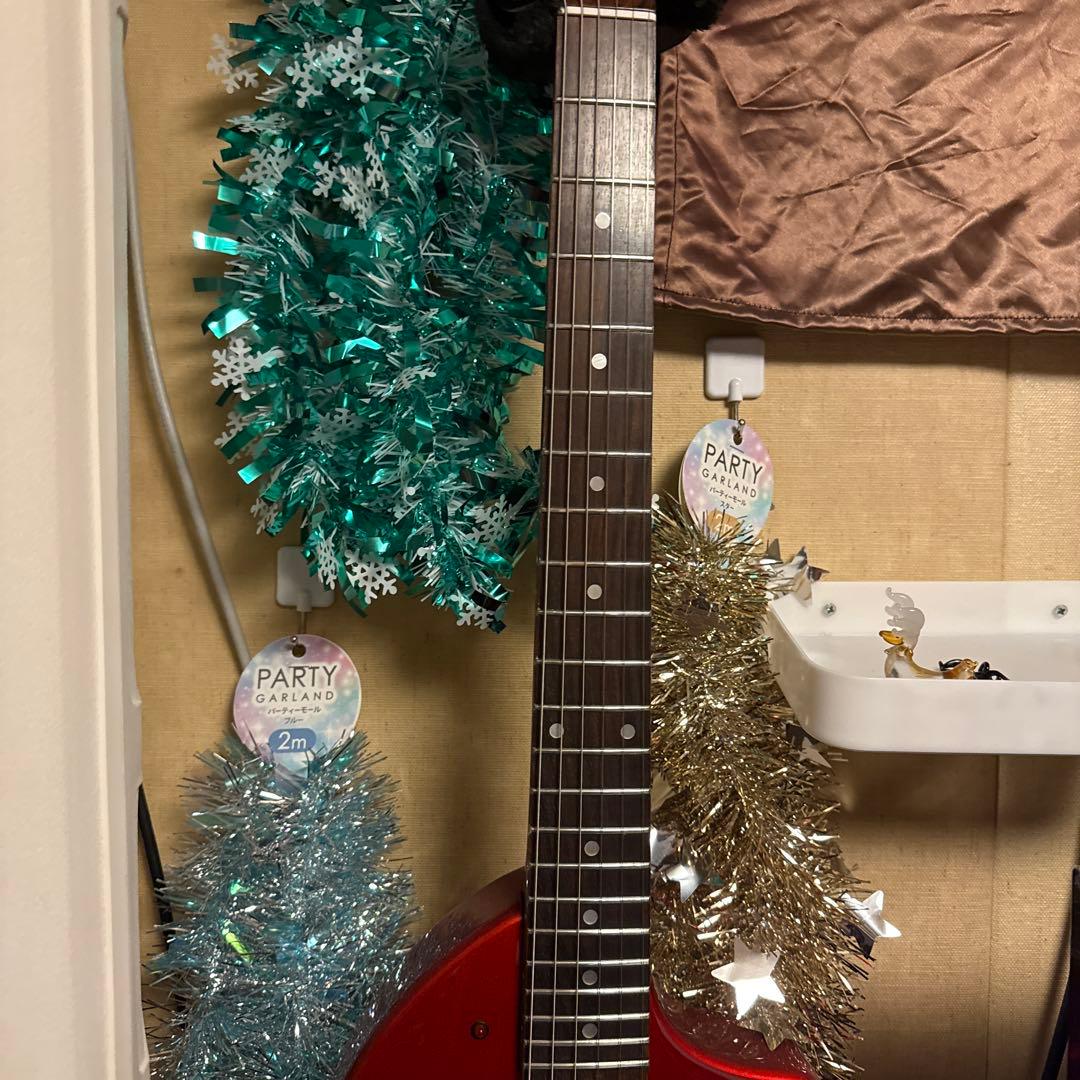 劇レア！フェルナンデス　クリスマス象さん！