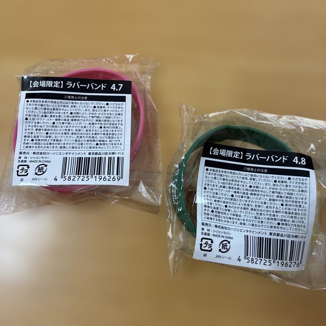 TM NETWORK バンド&フライトタグ4/7・8 GET WILDの日