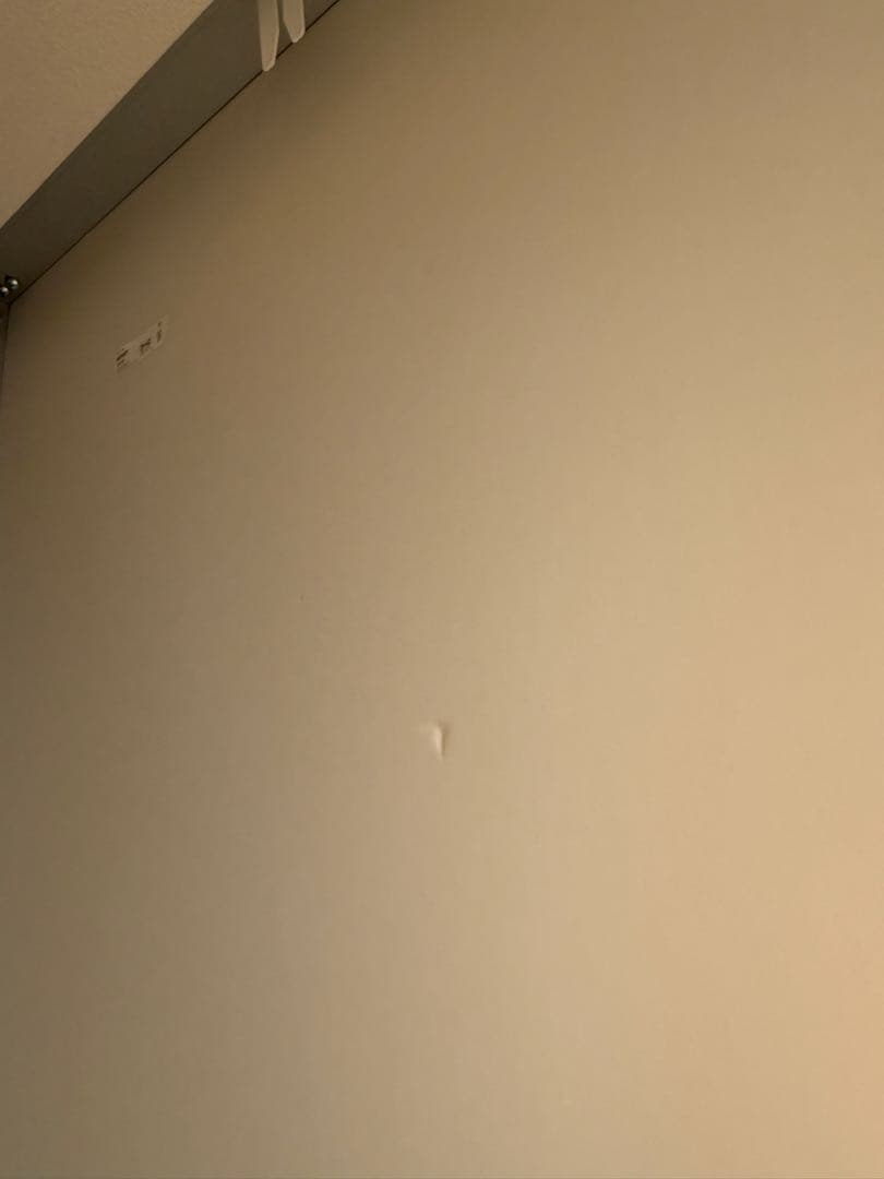 HOVET ホーヴェットミラー 78x196cm IKEA 姿見 全身鏡