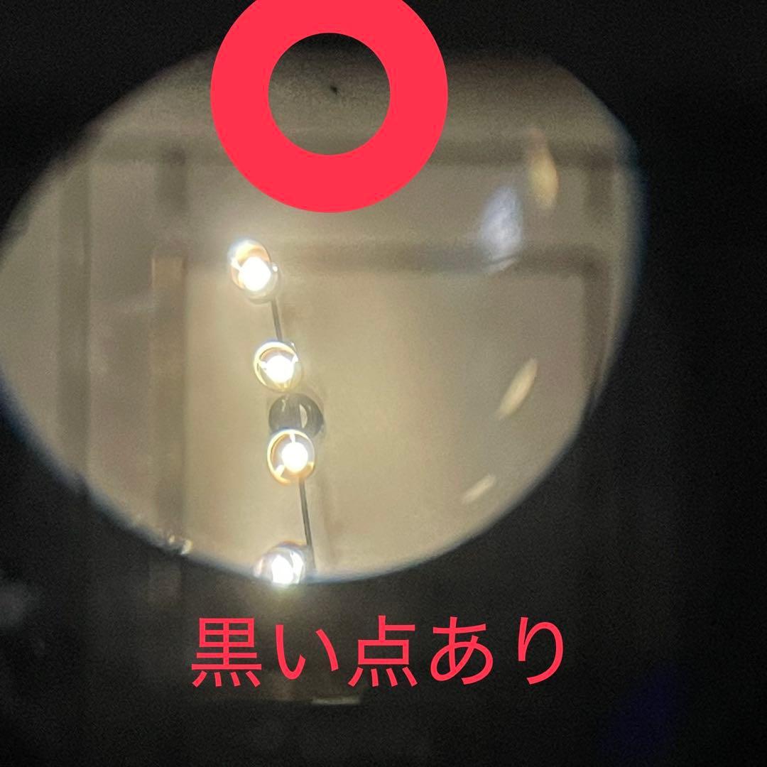 【最安値】BLACKBIRDFLY 二眼レフカメラ　仮面ライダーディケイド色違い