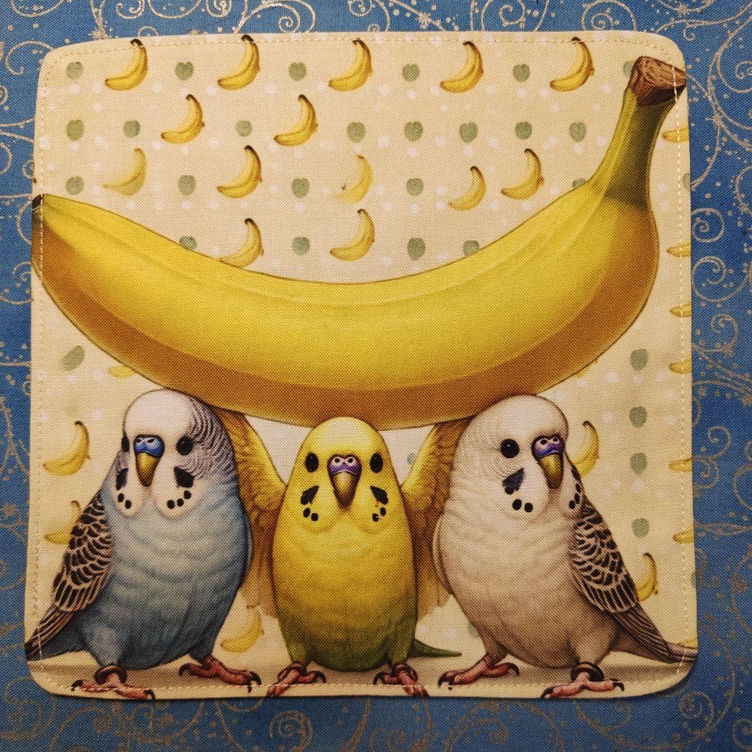 もも＆まりん　804 ハンカチ　インコ柄