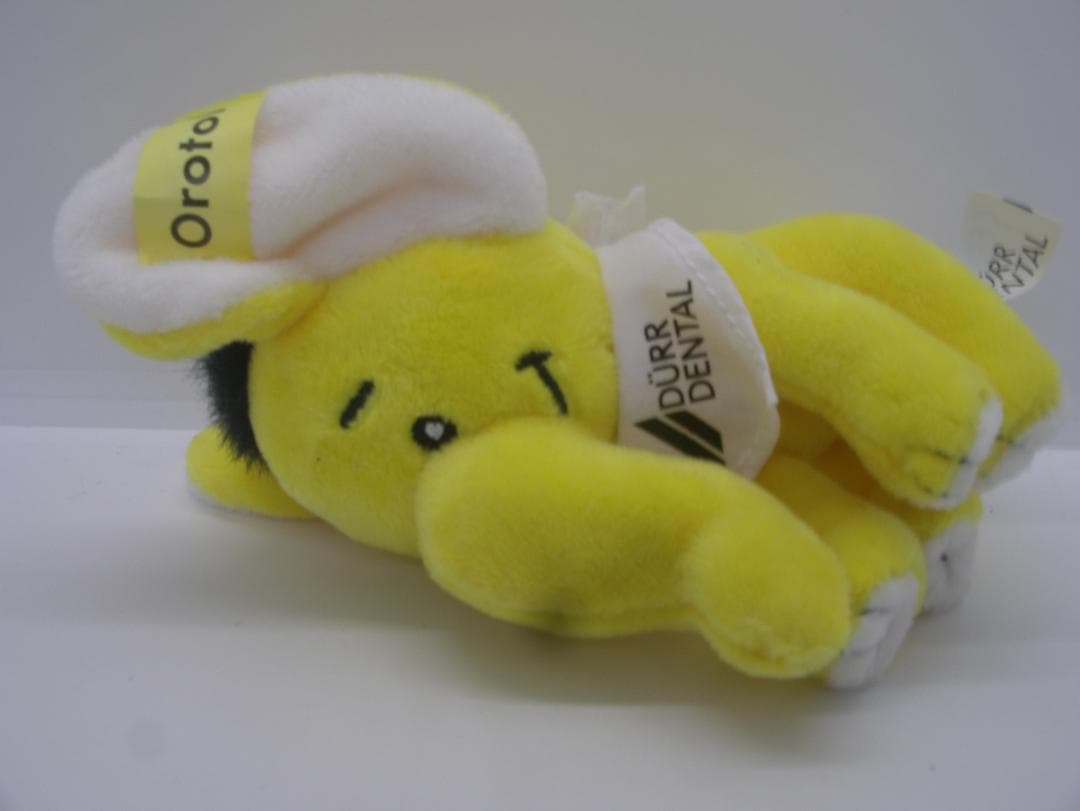 （極美品）名機 PENTAX Optio 750Z 自撮り2種類の充電器付き