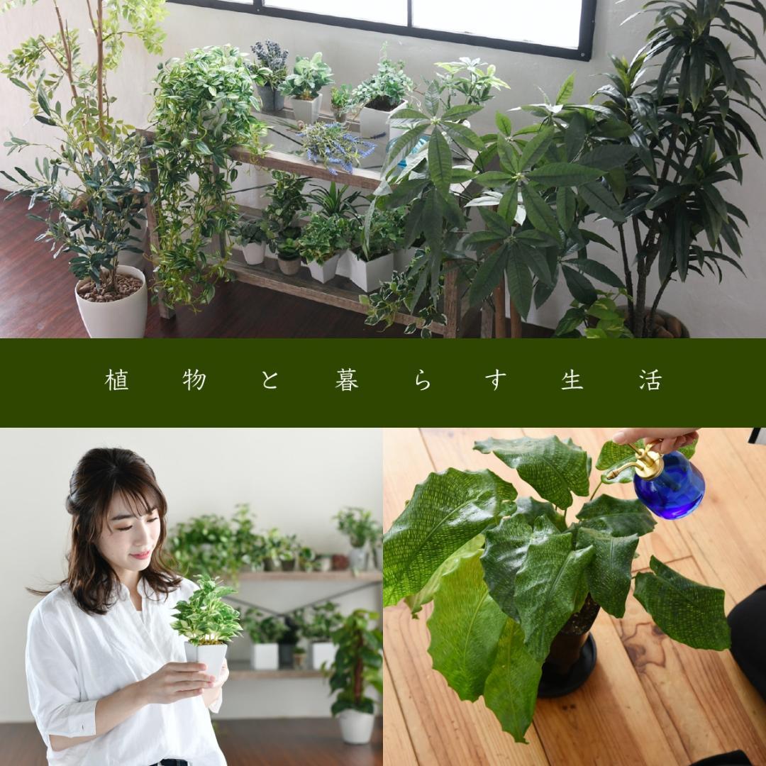 観葉植物 室内 スリム おしゃれ プランタースタンド 三段 ラック ナチュラル