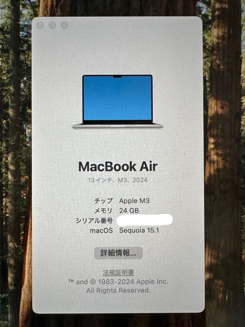 MacBook Air M3 13インチ 24GB 1TB SSD スターライト