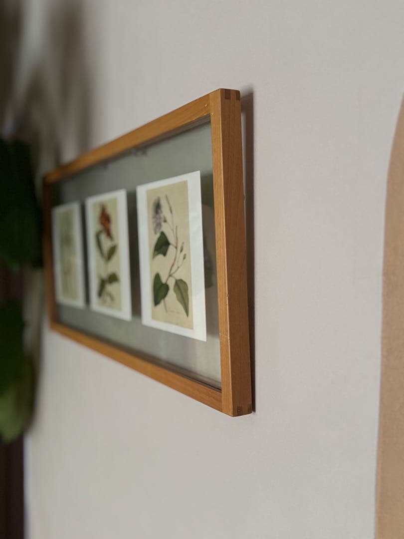 柔らかな雰囲気のボタニカルアート　植物画　ポスター　検）モモナチュラル