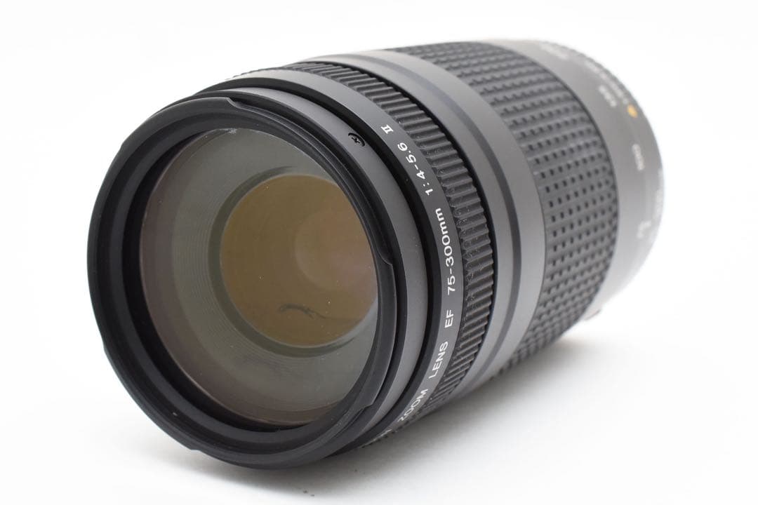 canon kiss x10 望遠レンズセットCanon EF 75-300㎜