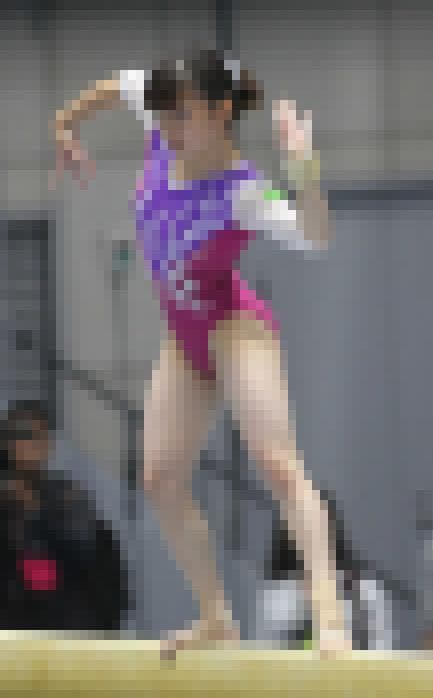 女子体操写真セット BD-R 2017年全日本種目別体操 高画質！14000枚