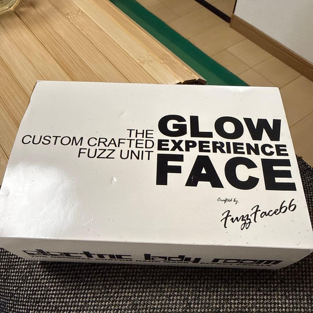 ギター Eletric Lady Room / Grow Experience Face