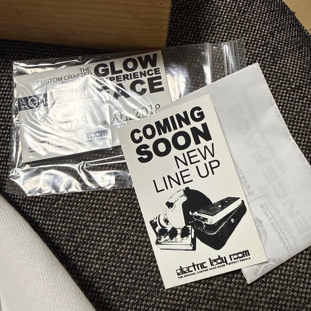 ギター Eletric Lady Room / Grow Experience Face