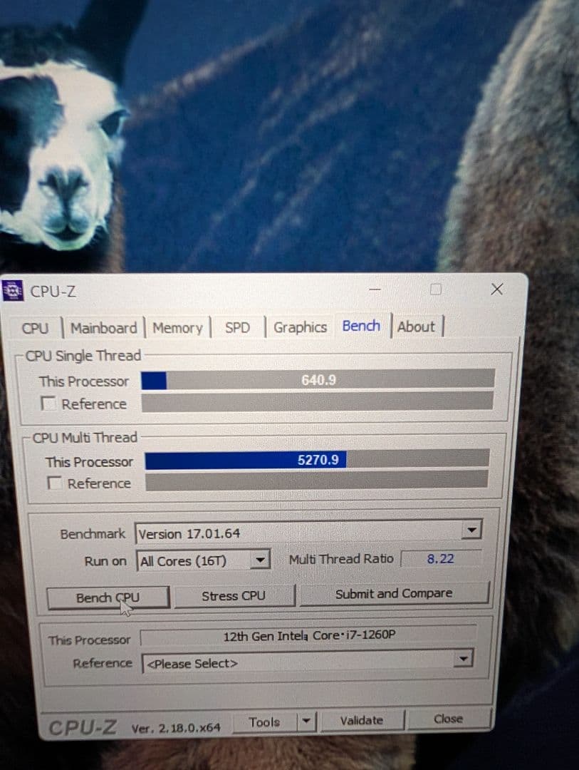 ThinkPad X1 Carbon Gen10 32Gメモリ 512G 4K