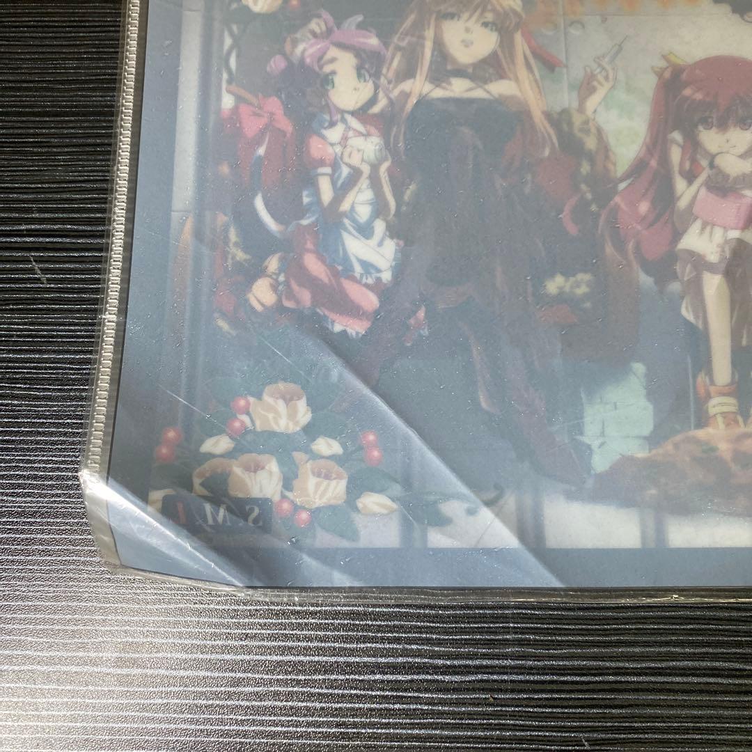 【未使用】CARNIVAL クリアファイル S.M.L