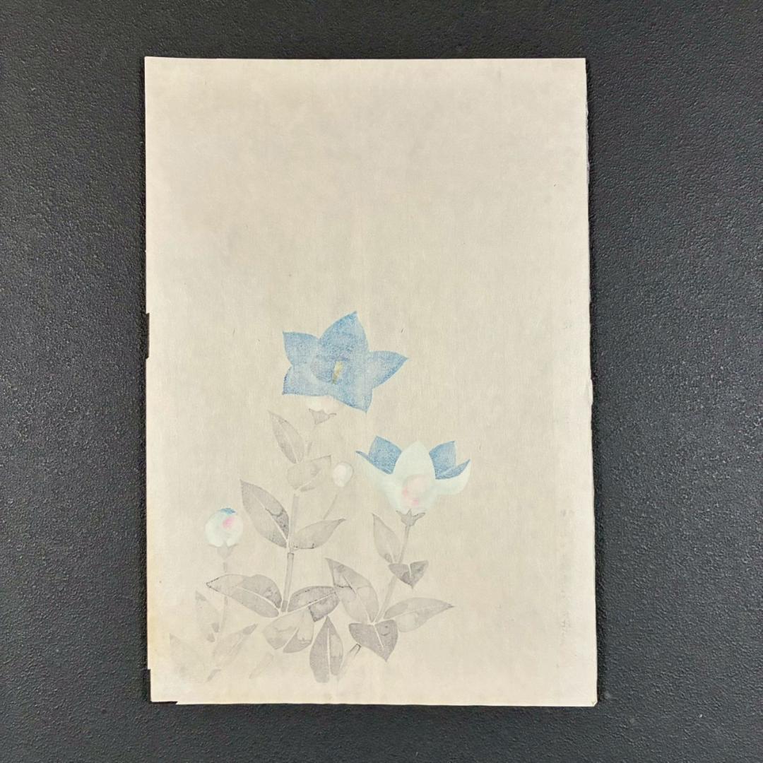 美品 堀文子「桔梗」木版画 直筆サイン入 アート社出版 自然の命を描く日本画家