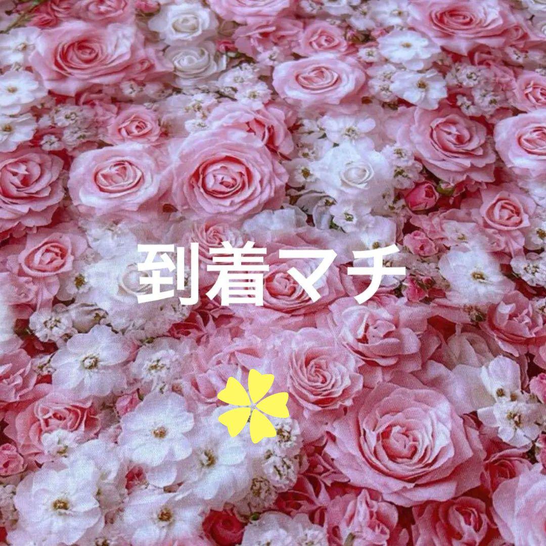 猫ちゃんパネル生地ハンドメイド★ｋ☆ｋ。。。★★