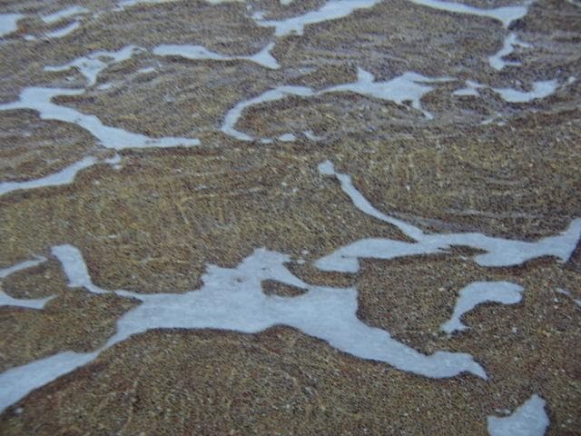 鶴田憲次【teh earth konomai】希少画集画、状態良好、新品高級額装