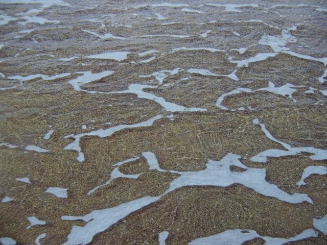 鶴田憲次【teh earth konomai】希少画集画、状態良好、新品高級額装