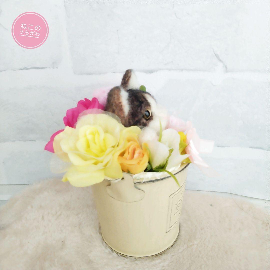 ♥️羊毛フェルト♥️シェルティー&猫ちゃんのアレンジメント♪