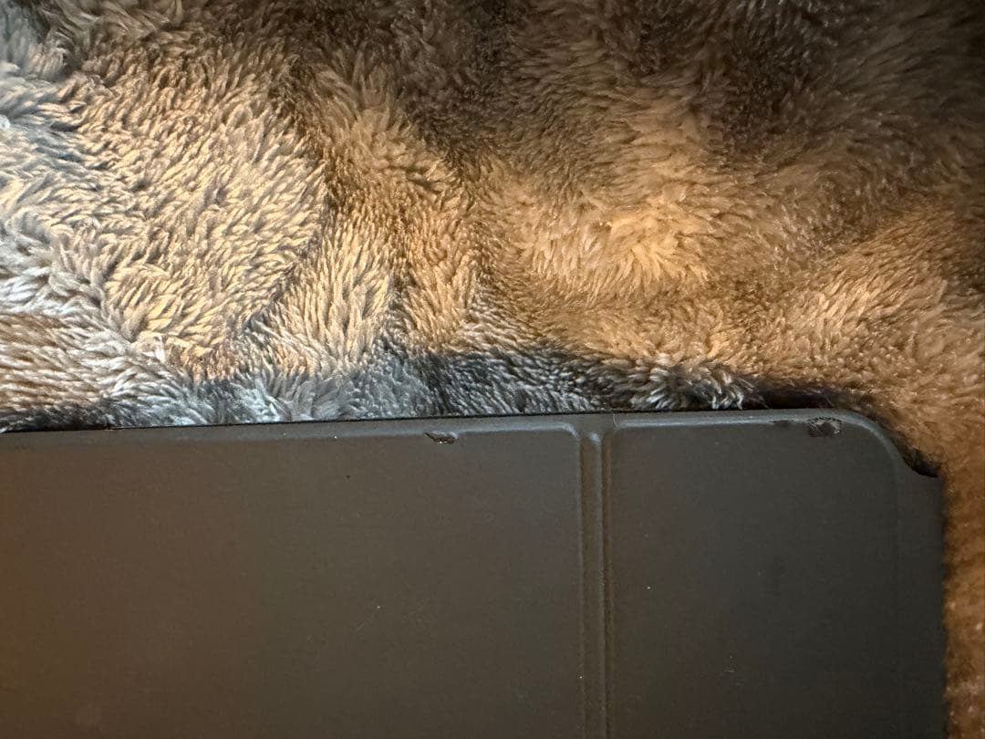 iPadアクセサリー Apple iPad Magic Keyboard A2261 MXQT2J/A