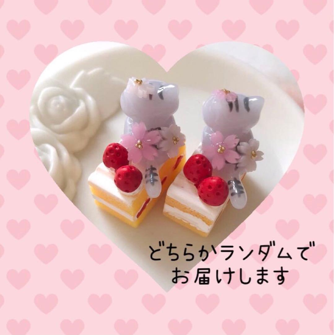ショートケーキとおすわりねこちゃん　さばとら×桜