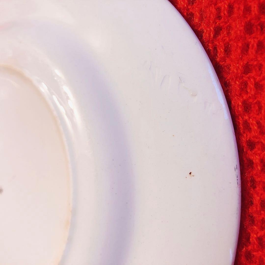 ディゴワンサルグミンヌ マリールーディナープレート B フランスアンティーク食器