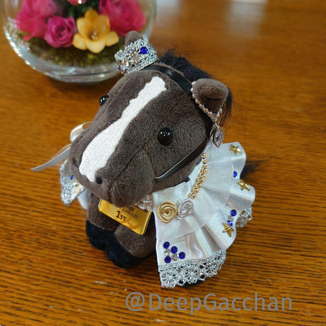 リバティアイランド　アイドルホースドレス・マント　Sサイズ