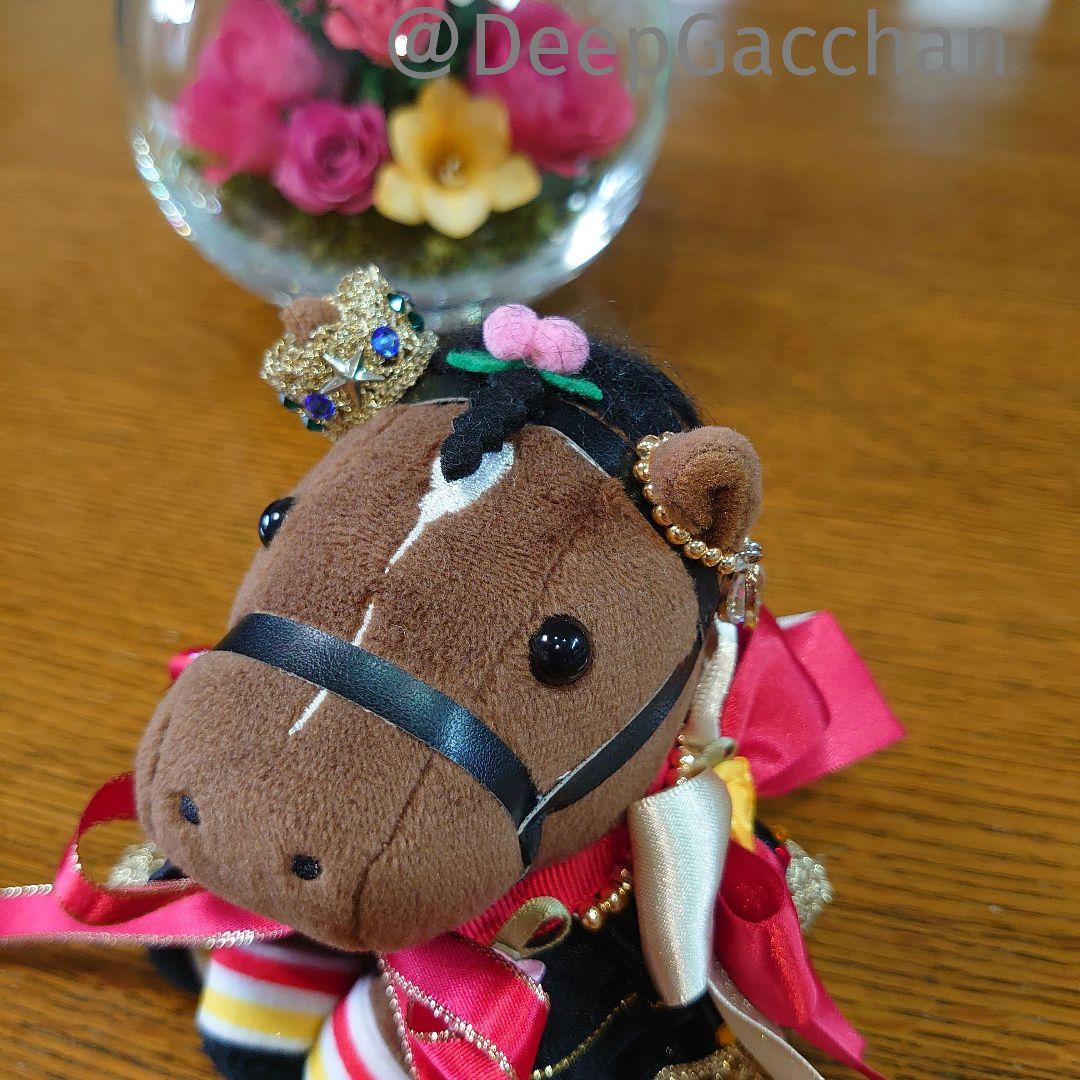 リバティアイランド　アイドルホースドレス・マント　Sサイズ