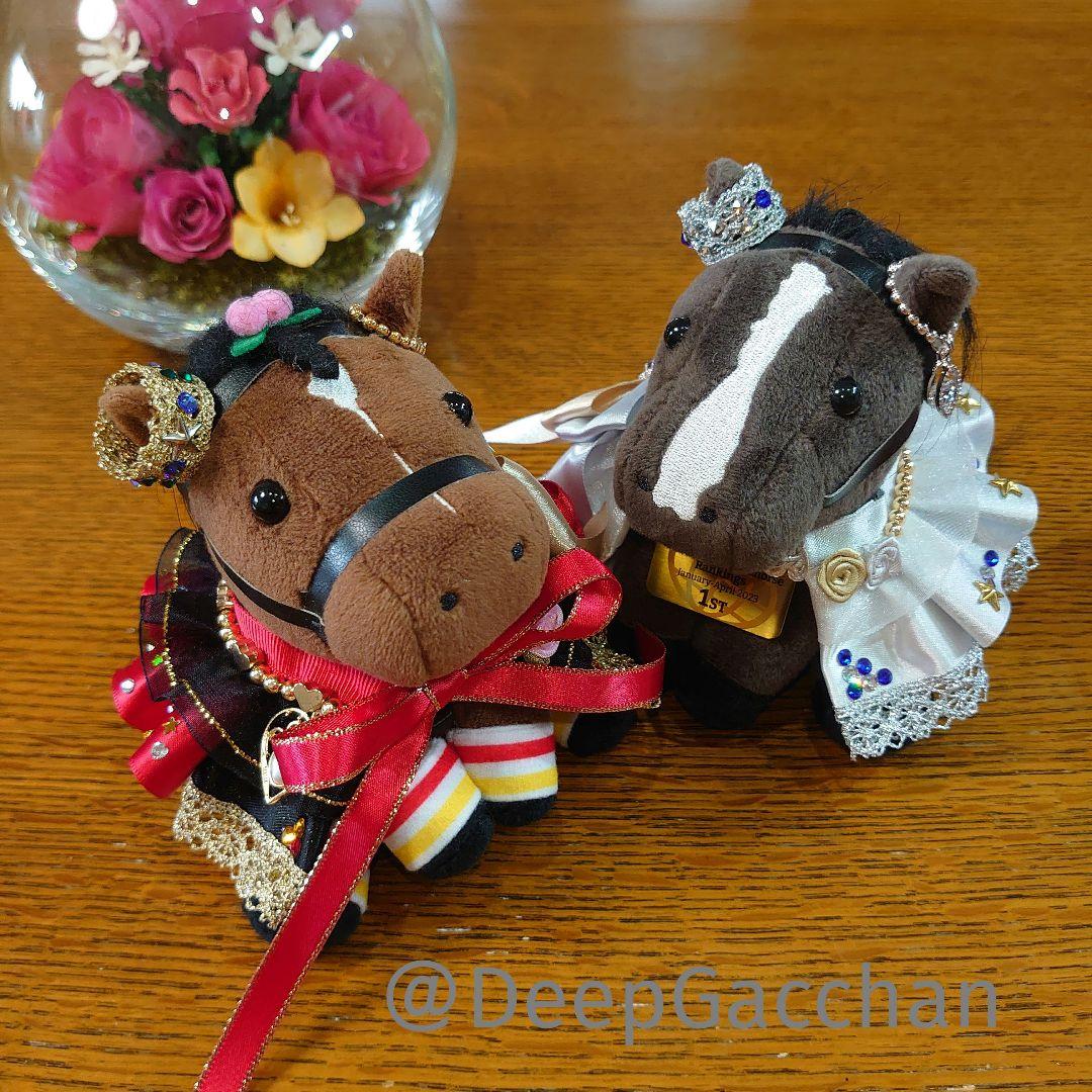 リバティアイランド　アイドルホースドレス・マント　Sサイズ